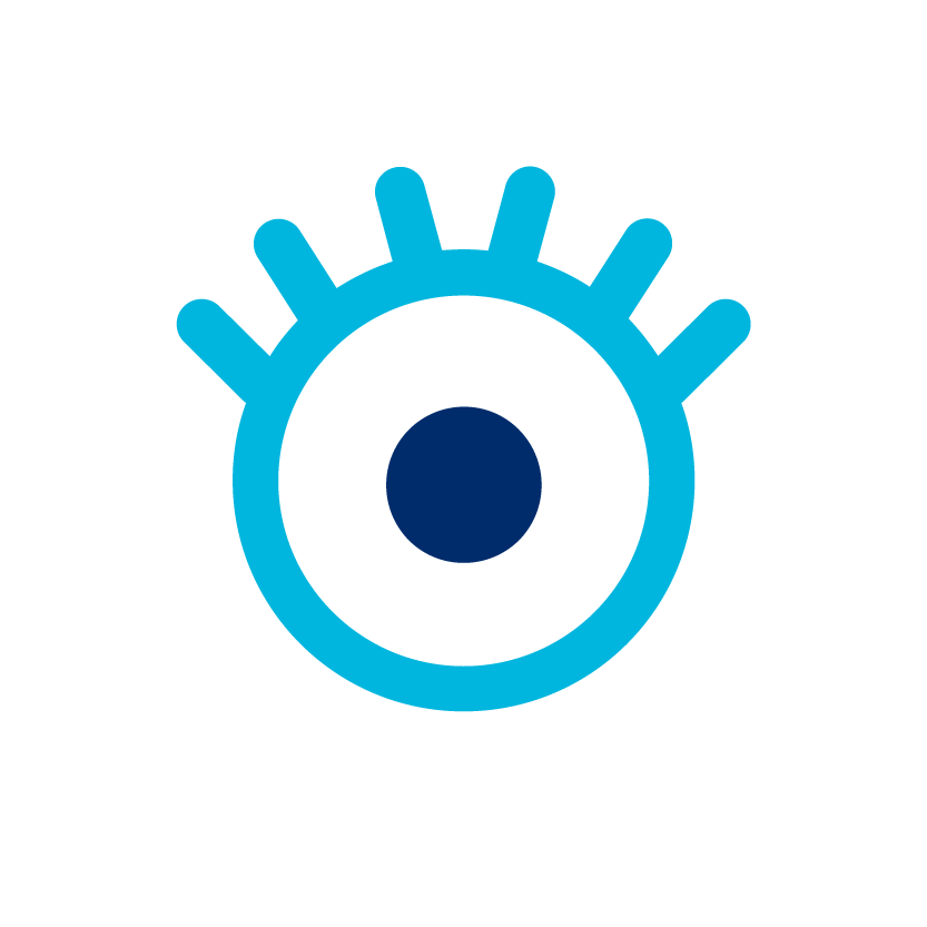 Identify icon