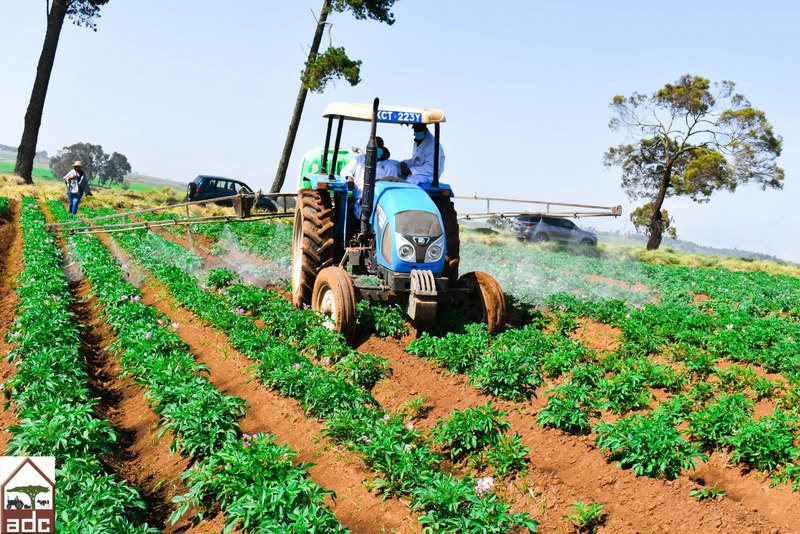 Agricultural supply chain