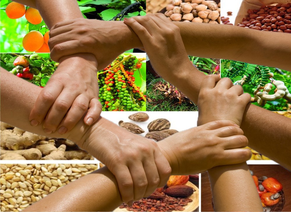 Farmers working